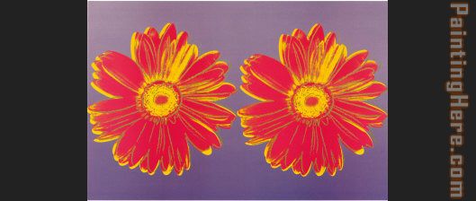 daisy 1982